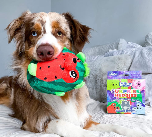 Outward Hound Surprise Hedgies Dog Toys as low as $5.23 Shipped Free (Reg. $7.69) + MORE