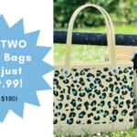 Get (2) Bogg Bags for Just $99.99! (Reg. $180)