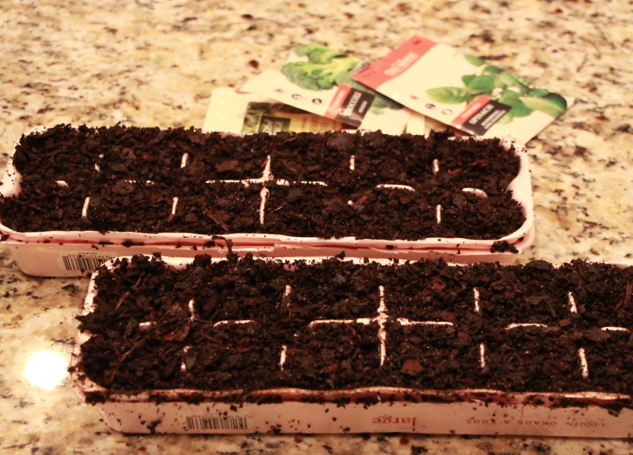 egg carton garden