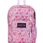 Jansport Big Student Backpacks only $24.99 (Reg. $50!)