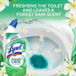 24-Oz Lysol Toilet Bowl Cleaner Gel, Forest Rain as low as $1.55 Shipped Free (Reg. $2.67)