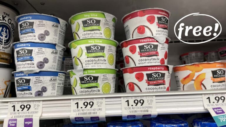 FREE So Delicious Dairy-Free Yogurt at Publix