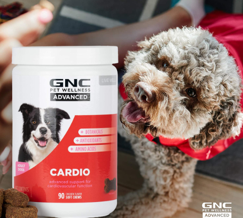 90-Count GNC Pets Advanced Dog Supplements for Cardiovascular Support as low as $5.43 Shipped Free (Reg. $8.33) – 6¢/Soft Chew – LOWEST PRICE