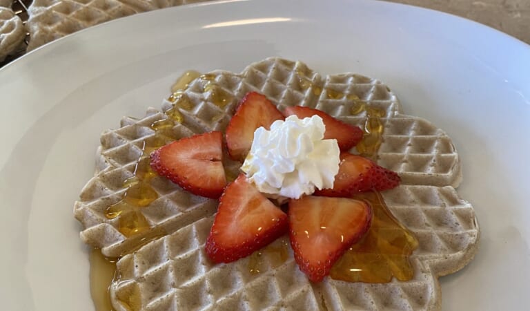 Easy 1-Ingredient Soaked Quinoa Gluten-Free Waffles