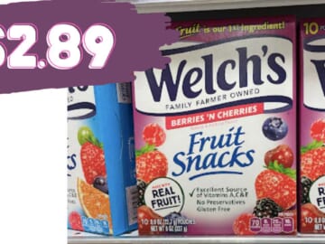 Welch’s Coupon | Makes 22 ct. Fruit Snacks Just $2.89