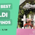 Aldi Fun Finds | Gardening Supplies, $10 Trunk Organizer & More