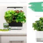 AeroGarden Herb Seed Pod Kit $79.95 (reg. $165)