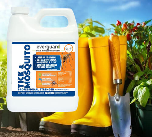 Everguard Concentrated Tick & Mosquito Repellent, 32-Oz as low as $34.11 Shipped Free (Reg. $36)