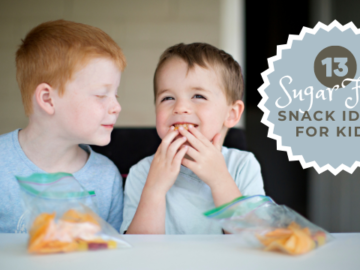 13 Sugar Free Snack Ideas for Kids