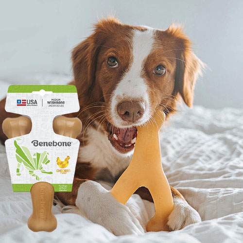 Benebone Wishbone Durable Dog Chew Toy, Real Chicken, Medium as low as $4.61 After Coupon (Reg. $13.45) + Free Shipping – for Aggressive Chewers