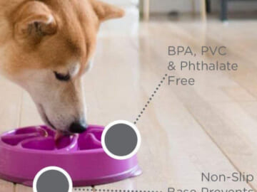 Outward Hound Slow Feeder Dog Bowl, Medium $5.92 After Coupon (Reg. $16.49)