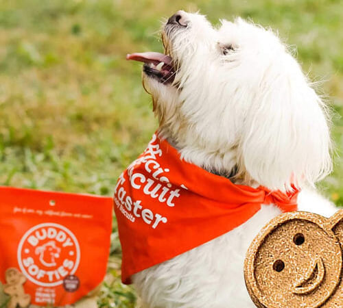 Buddy Biscuits Grain Free Soft & Chewy Dog Treats with Peanut Butter, 5 oz as low as $3.29 After Coupon (Reg. $7.69) + Free Shipping – 5.4K+ FAB Ratings!