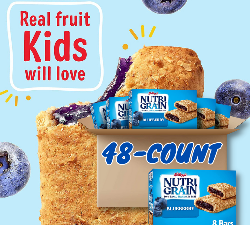 48-Count Nutri-Grain Soft Baked Breakfast Bars, Blueberry as low as $12.56 After Coupon (Reg. $19.32) + Free Shipping – 26¢/bar!