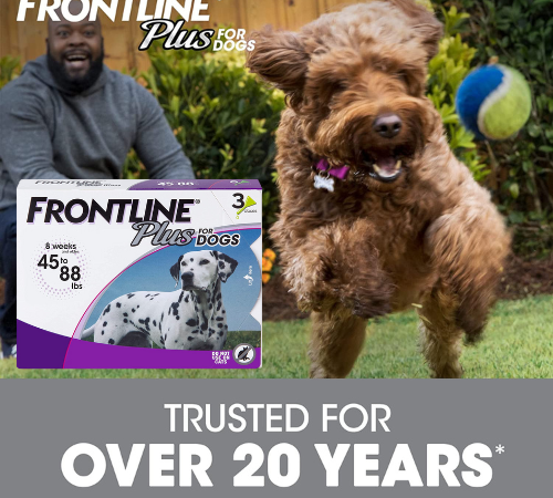 Today Only! Frontline Plus Flea and Tick Products $28.68 Shipped Free (Reg. $40.98)