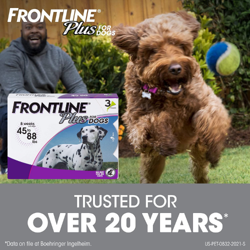 Today Only! Frontline Plus Flea and Tick Products $28.68 Shipped Free (Reg. $40.98)