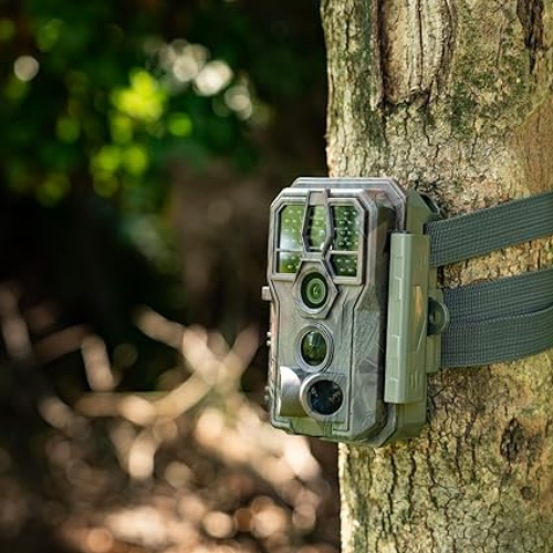 Today Only! Trail Cameras from $39.99 Shipped Free (Reg. $89.99+) – FAB Ratings!