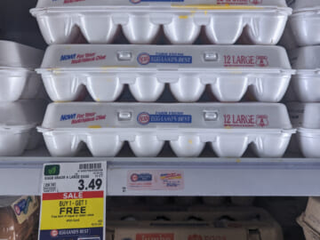 Eggland’s Best Eggs As Low As $1.20 At Kroger