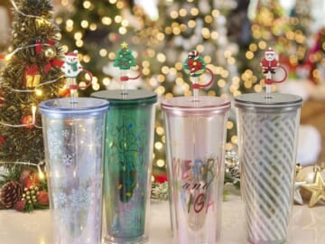 Holiday Time Christmas 4pk 26oz DW Tumbler