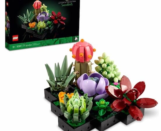 Rare Deals on LEGO Botanical Collection Sets!