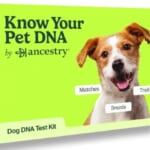 Ancestry Dog DNA Kit for $99 + free shipping