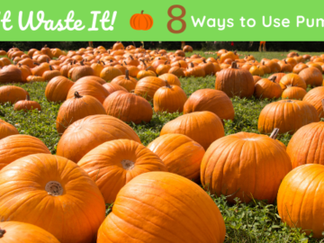 Don’t Waste It! 8 Ways to Use Pumpkins
