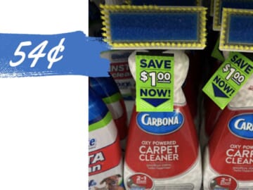 54¢ Carbona Carpet Cleaner at Publix