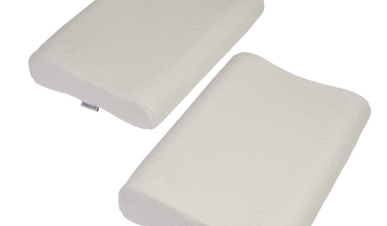 Setore Contour Memory Foam Pillow with Cover (2 pack) only $39.99 shipped!