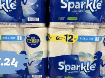 12-Count Sparkle Paper Towels for $7.24 (reg. $17.49)