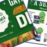 lowes foods weekly ad