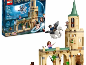 LEGO Harry Potter Hogwarts Courtyard