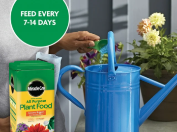 Miracle-Gro Water Soluble All Purpose Plant Food, 6.25 Lbs $9.98 (Reg. $24.47)