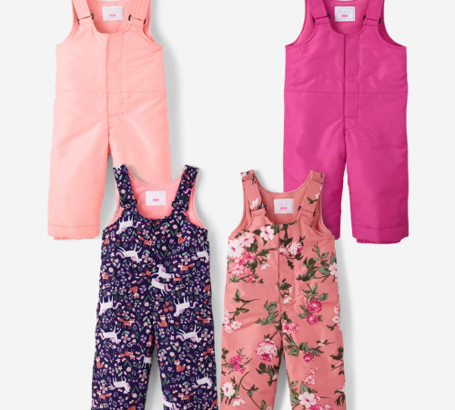 The Children’s Place Toddler Girls Print Snow Overalls from $13.99 (Reg. $40+) – Less 15% off w/ in-store pickup!