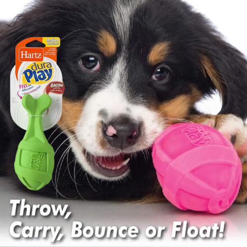 Hartz Dura Play 3-Pack Bacon Scented Rocket Dog Toy, Medium $6.99 (Reg. $12.25) – $2.33/Toy – LOWEST PRICE