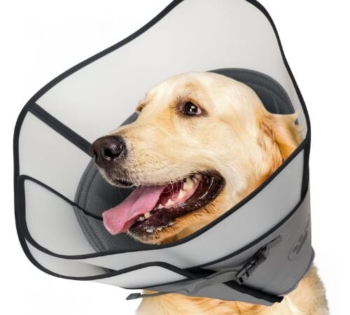 Dog Cone for After Surgery, Large $10.40 After Code + Coupon (Reg. $26)