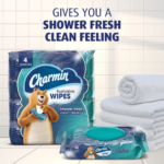 Charmin 160-Count Flushable Wipes, Shower Fresh as low as $7.16/Pack when you buy 4 (Reg. $11) + Free Shipping – 4¢/Wipe