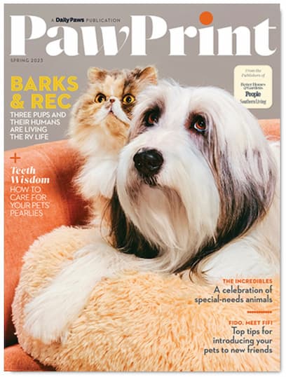 Free PawPrint Magazin