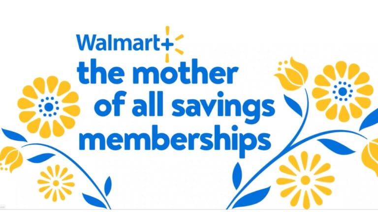 1 Year Walmart+ Membership for only $49 (reg. $99)