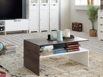 Modern Coffee Table with Storage Shelf