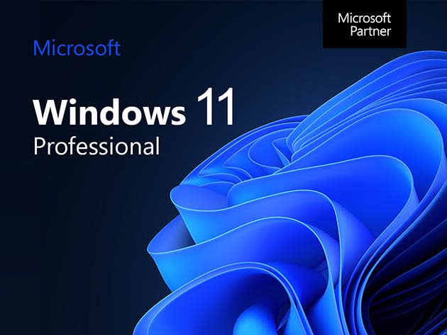 Microsoft Windows 11 Pro for $25