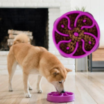 Outward Hound Fun Feeder Slow Feed Interactive Bloat Stop Dog Bowl $4.93 (Reg. $16.49)