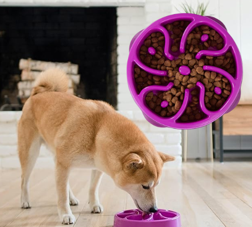 Outward Hound Fun Feeder Slow Feed Interactive Bloat Stop Dog Bowl $4.93 (Reg. $16.49)