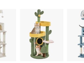 Amazon Coupon | Up to 25% Off Cat Trees