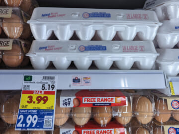 Eggland’s Best Eggs 18-Count Just $2.99 At Kroger