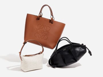 Iconic Loewe Bag Styles