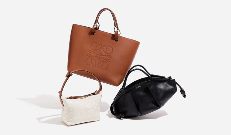 Iconic Loewe Bag Styles