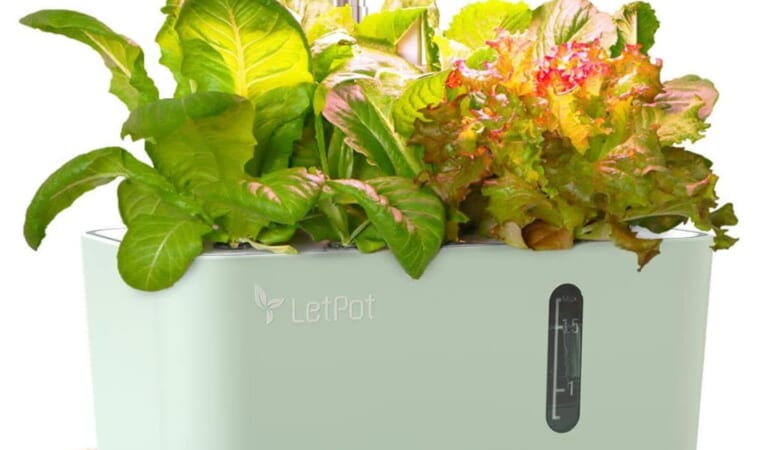 LetPot Mini Hydroponics Growing System for $34 + free shipping