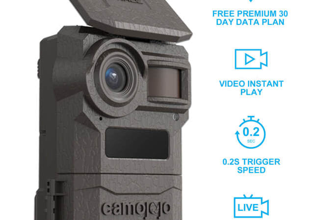 Camojojo Live Stream Trail Camera for $91 + free shipping