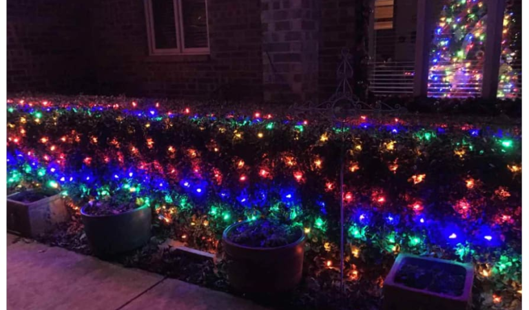 100-LED Christmas Multicolor Net Lights 4-Pack for $15 + free shipping