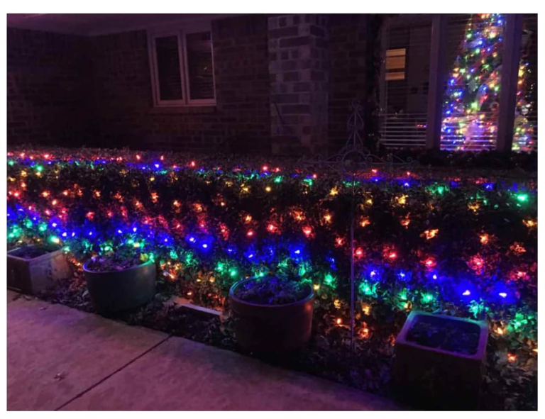 100-LED Christmas Multicolor Net Lights 4-Pack for $15 + free shipping