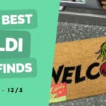 Aldi Fun Finds | Black Friday Edition!